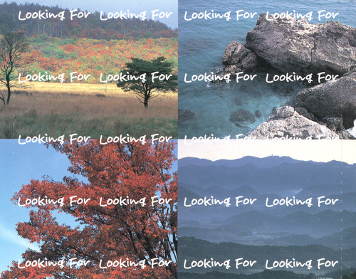 Tatsuya Nishiwaki (西脇辰弥) Looking For Original Soundtrack Tray.jpg