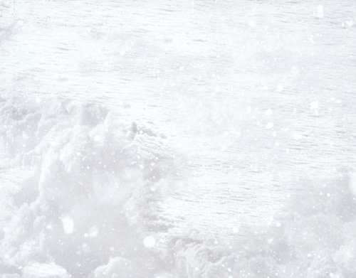 Cris Velasco Company of Heroes 2 Original Soundtrack Tray.jpg