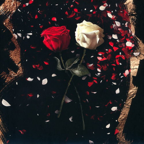 Lorien Testard & Alice Duport-Percier Clair Obscur: Expedition 33 Original Soundtrack Disc 8 Front.jpg